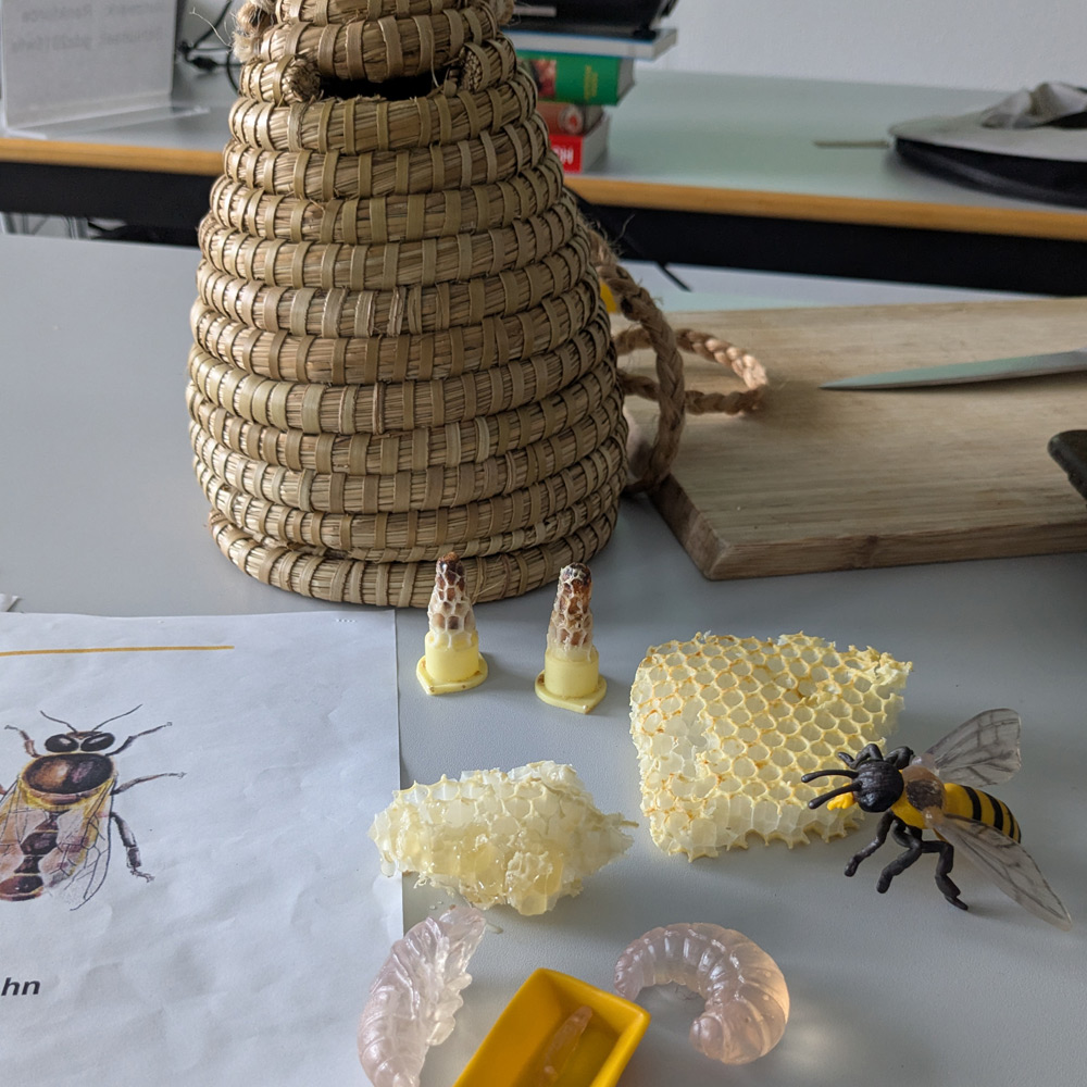 September 2025 – Projekttag Bienen & Honig