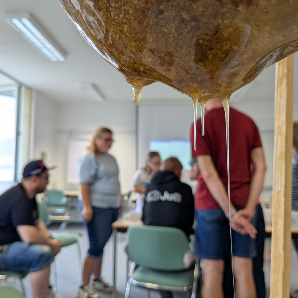 September 2025 – Projekttag Bienen & Honig