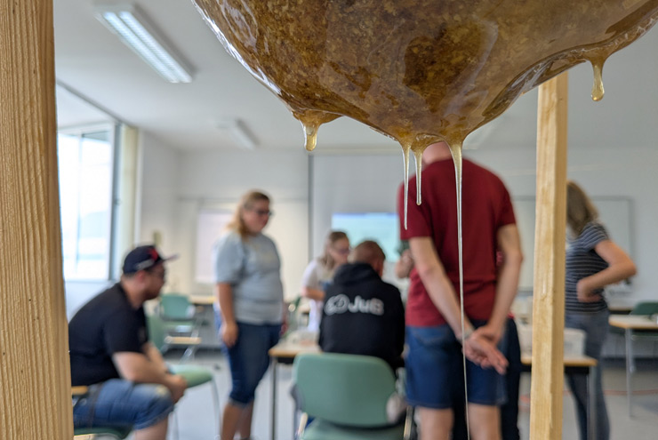 Projekttag Bienen & Honign geflochtener Korb fertigstellen.