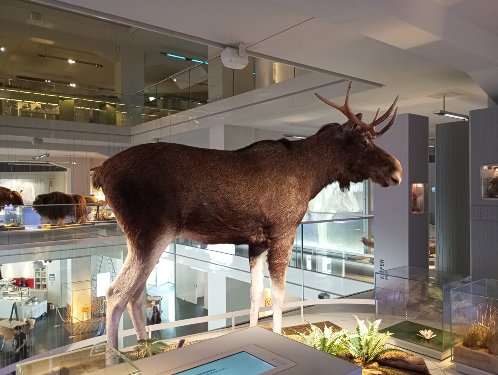Besuch im smac - Staatliches Museum für Archäologie Chemnitz